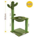 Arbre à chat cactus taille