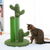 Cactus à gratter vert taille L