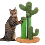 Cactus à gratter vert taille M