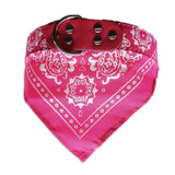 Collier bandana fushia
