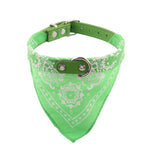 Collier bandana vert
