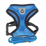 Harnais en nylon pour chat bleu 