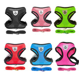 Harnais en nylon pour chat photo 3