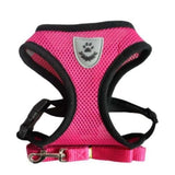 Harnais en nylon pour chat fushia 