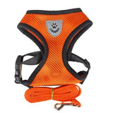 Harnais en nylon pour chat orange