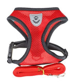 Harnais en nylon pour chat rouge