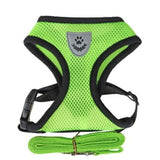 Harnais en nylon pour chat vert