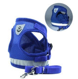 Harnais respirant pour chat bleu
