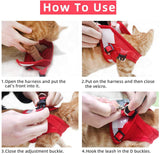 Harnais respirant pour chat photo 2