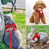 Harnais respirant pour chat photo 1