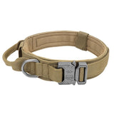 Collier tactique pour chien beige