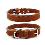 Collier imitation cuir pour chien marron