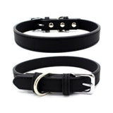 Collier imitation cuir pour chien noir