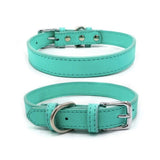 Collier imitation cuir pour chien vert