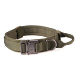 Collier tactique pour chien kaki