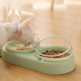 Gamelles multifonctions avec un chat qui mange dedans