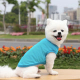 Gilet pour chien turquoise