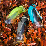 Gourdes pour chien et chat sur un fond de feuilles