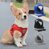 Harnais motif pattes de chien pour chien