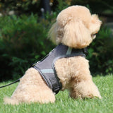 Harnais respirant pour chien et chat photo 1